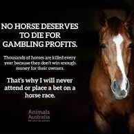 BAN ALL HORSE RACING IN AUSTRALIA & WORLDWIDE !! (@amba_moxie) 's Twitter Profile Photo