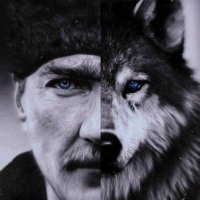 Enişte (@enisteinvest) 's Twitter Profile
