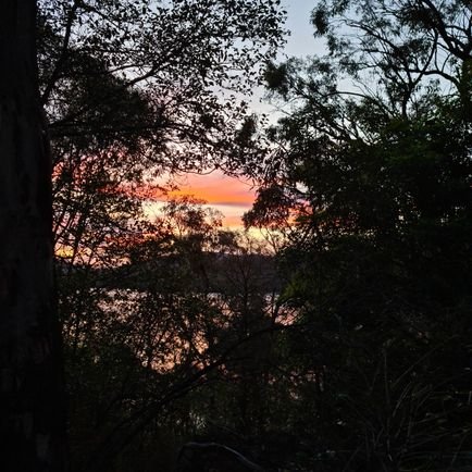 Sal20011234's profile picture. 