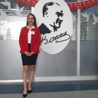 Ipek Yeleser (@ipekyeleser) Twitter profile photo