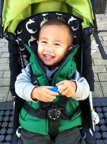 ayapixiedust's profile picture. 2010年1月22日に長男を出産。 初めての育児に奮闘中！ ワーキングマザー頑張り中。