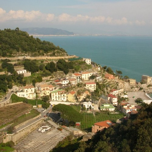 Perilocosa's profile picture. 