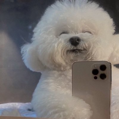 gdtwpmgd's profile picture. ただの老害ナリ^^;