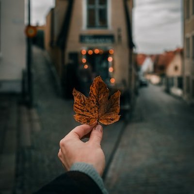 bi3500253's profile picture. 