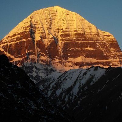 Alert__Citizen's profile picture. 