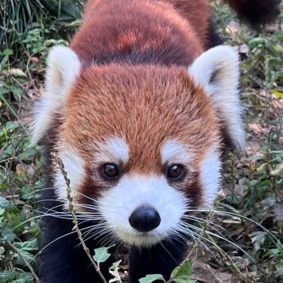 高柳 祥さんのプロフィール画像