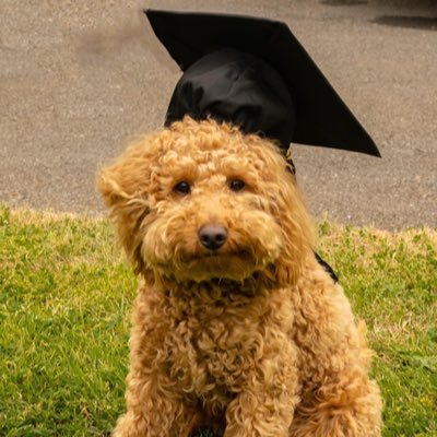 kaytlin_tai's profile picture. PME biology and science