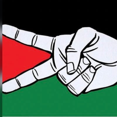 🕊️🇵🇸