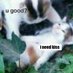 infave (@infave0) Twitter profile photo infave (@infave0) Twitter profile photo
