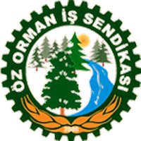 Öz Orman İş Sendika(@ozormanis1) 's Twitter Profile Photo