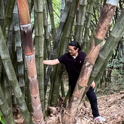 Bamboo Forester @ubcforestry