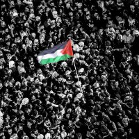 أبو سما (@aliialhasani) 's Twitter Profile Photo أبو سما (@aliialhasani) 's Twitter Profile Photo