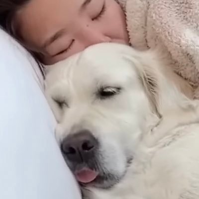 bagjeongog15's profile picture. #5년#이재명대통령#다시#또5년#계속5년#대통령#💙🙆🏼‍♀️😙