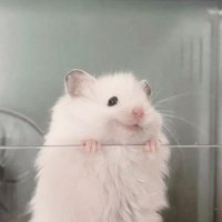 𝖱 (@_613bin) 's Twitter Profile