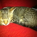 Roberta Napoli - @NapoliRoberta - Twitter