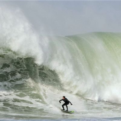 French guy, cruising around with boards
-
3x Vice champion de France skateboard bowl
-
big wave surfing is coming
#zkApes