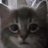 powerdunky's profile image
