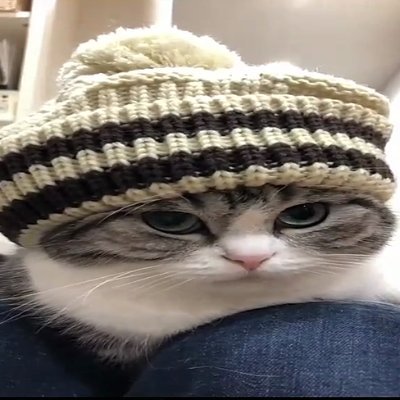 NikitaCrypt's profile picture. Full Stack developer