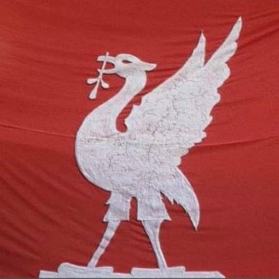 Liverpool fan and occasional Liverbird flag waver with a passion, also, for wildlife habitats in and around Chester