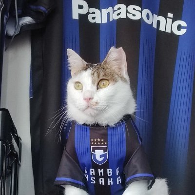 ◎大阪=⚽️ガンバ大阪⚽です✌
●2005年劇的な逆転優勝🏆◯2008年アジアチャンピオン🏆
◎2014年3冠達成🏆☆☆☆☆☆☆☆☆☆🏆
また、猫が大好きで、社長(13歳女の子)専務(8歳女の子)、二匹の猫を飼っています😸猫様との日常やガンバ大阪についてつぶやきます🐱