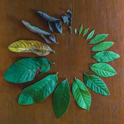 Muhamma26461057's profile picture. 