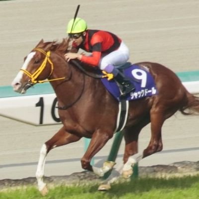 kinzaikushi0514's profile picture. 競走馬🏇の魅力に取り憑かれたオタク🤤
ジャックドールくんへの愛が重めなアカウント❤️ローレル・ユニオン・DMMで一口やってます💁推し🐴 トウカイテイオー/オルフェーヴル/ジャックドール/レモンポップ/ジオグリフ/レーベンスティール/ダノンデサイル/ビザンチンドリームetc◆一口出資馬↓◆