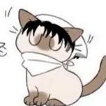shhhhoou1225's profile picture. 返せ！返せ！ボクの家族を👿👿悪の手から未来の欠片を取り返す😭💔💔ボクの使命だこの身の全てが滅びようとも😡✊返せ！返せ！ボクの家族を👿👿0419  必ず見つけだして😎👉また幸せな温もりをこの鉄の肌で感じたい😫🤲💞💞