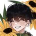 Tawan Sunflower (@himawari_hito) Twitter profile photo Tawan Sunflower (@himawari_hito) Twitter profile photo