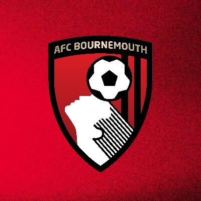 AFCBournemouthW Profile Picture