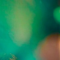 松永 樹 (@midori_chang_) 's Twitter Profile