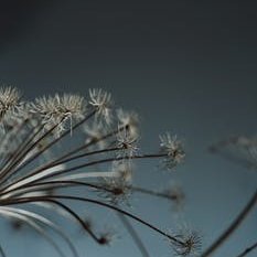 letrasjerlVP's profile picture. Crafting a life that is a true reflection of my soul. 🌟💫