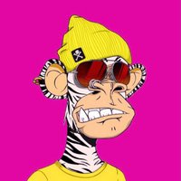 msengiiptv3 ❤️ Memecoin (@dingo7_ardpz) 's Twitter Profile