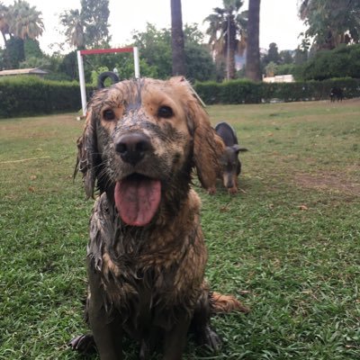 HuseyinGocen's profile picture. 🙌 DİKKAT GÖZTEPELİ 🙌