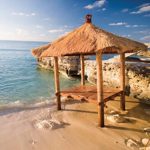 amyallen48's profile picture. 