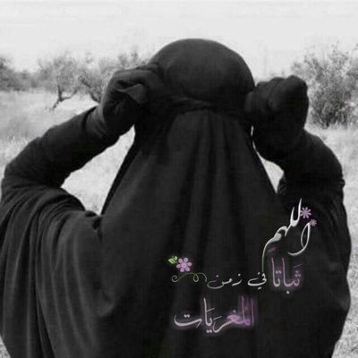 HamdeMona8434's profile picture. 
