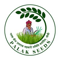 Palak Seeds(@PalakSeeds) 's Twitter Profile Photo