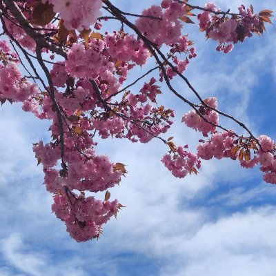 yue486608528891's profile picture. 