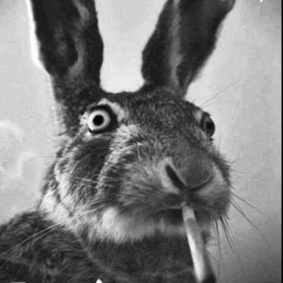 Kbrody96's profile picture. I'm just another guy on the internet who's life hasn't turned out the way I thought it would.