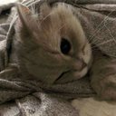 Judith Bacallao ❤️ Memecoin - @JudithBaca72674 - Twitter