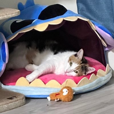 ルル☆舒適圈☆さんのプロフィール画像