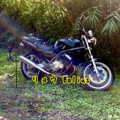 Ryo_xxx819xxx's profile picture. 千葉のバリオス乗り。バイクキャンパー。愛車はBalius Ⅰ型(A4)とシグナスX(3型)。その昔NSR50に乗ってました☺︎ ツーリング、ソロキャン、ギター、猫好き。バイク関連、キャンプ、音楽好きはフォロバします☺︎ 。モトブログも始めましたのでヨロシクお願いします✨バリオス最高！！！！！