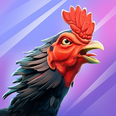 rooster_fights Profile Picture