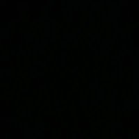 🐞 (@_sofiaa1_) 's Twitter Profile