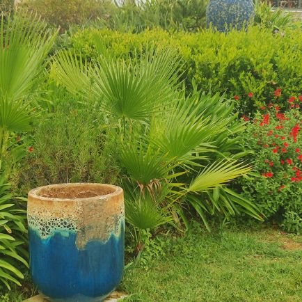 Leloire10's profile picture. Médecin, ancien Interne et assistant des Hôpitaux, patriote, pour la France éternelle.