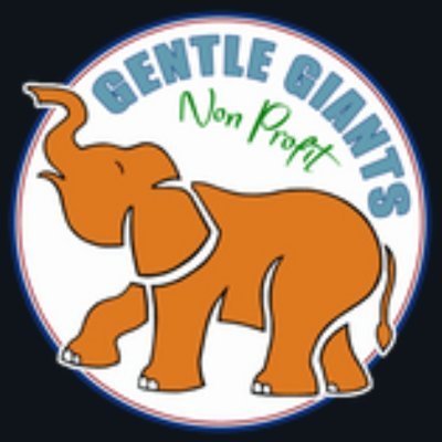 Writer, Author 📚📖✍️♿
Gentle Giants' supporter 💙🐘💙
https://t.co/T82TdZClg8