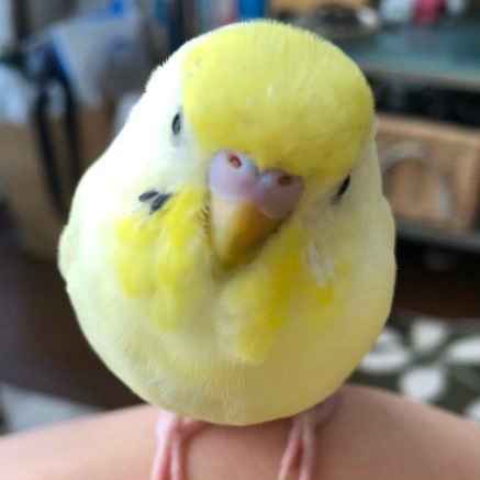 yuko_yuta_yuko's profile picture. 子供の頃テレビで見たシンボリルドルフに感動し、
学生時代はオグリキャップを応援し、
今は、たくさんの🐴さん達から元気をもらっています🍀
みんな、無事にゴールまで駆け抜けてくれることを、ただただ祈ってます✨️