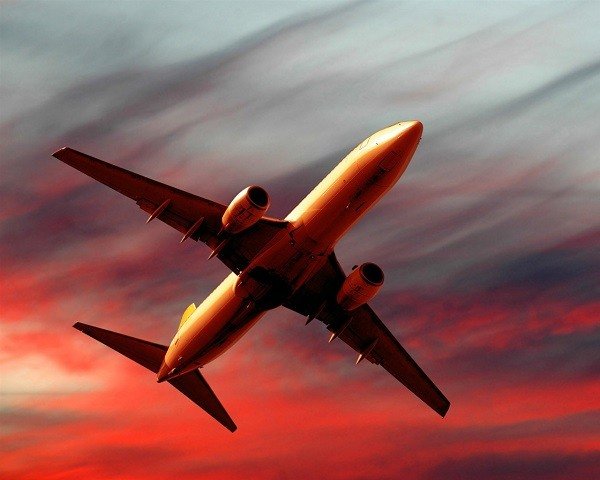 wildfowl0pT's profile picture. nft influencer