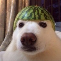 hl ♦️ (@0xhl23) 's Twitter Profile Photo hl ♦️ (@0xhl23) 's Twitter Profile Photo