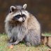 CryptidsAtStonehenge (@carolin28584347) Twitter profile photo CryptidsAtStonehenge (@carolin28584347) Twitter profile photo
