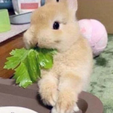 주취자 담당인 저와 계속 친구 해주세요